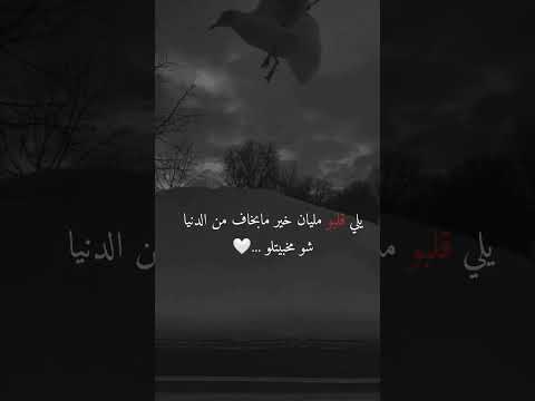 حالات واتس يلي قلبو مليان خير مابخاف من الدنيا شو مخبيتلوو