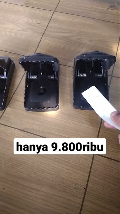jebakan tikus ampuh