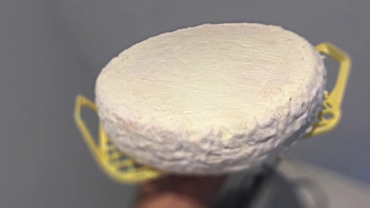 fromage brie fait maison جبن بري محلي الصنع