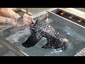 Customize Motorcycle With Hydro Dipping. Amazing Korean Water Transfer Artist