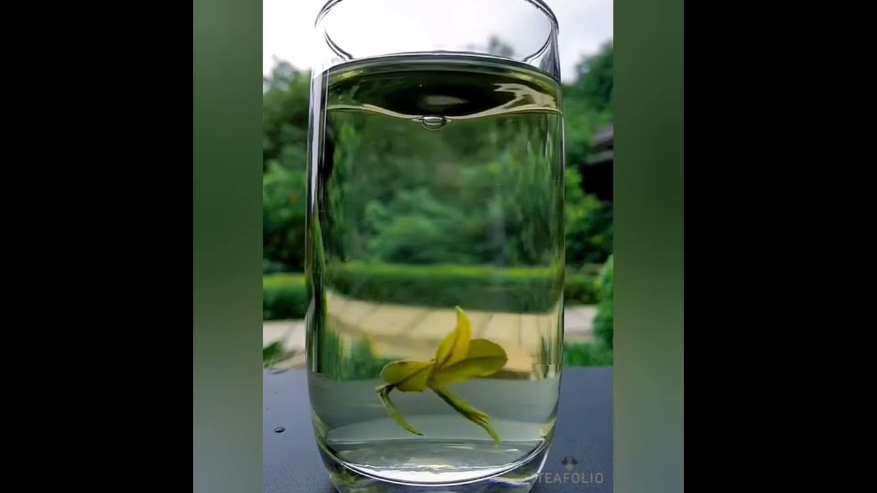 The Dancing Tea Lovers (Music: The Butterfly Lovers | 梁祝)