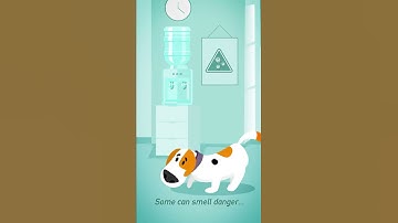 Cypriot campaign on the OiRA COVID-19 tool