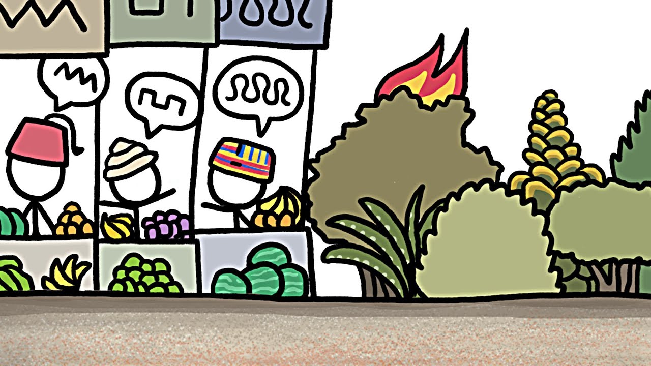 Почему бедные места самые разнообразные