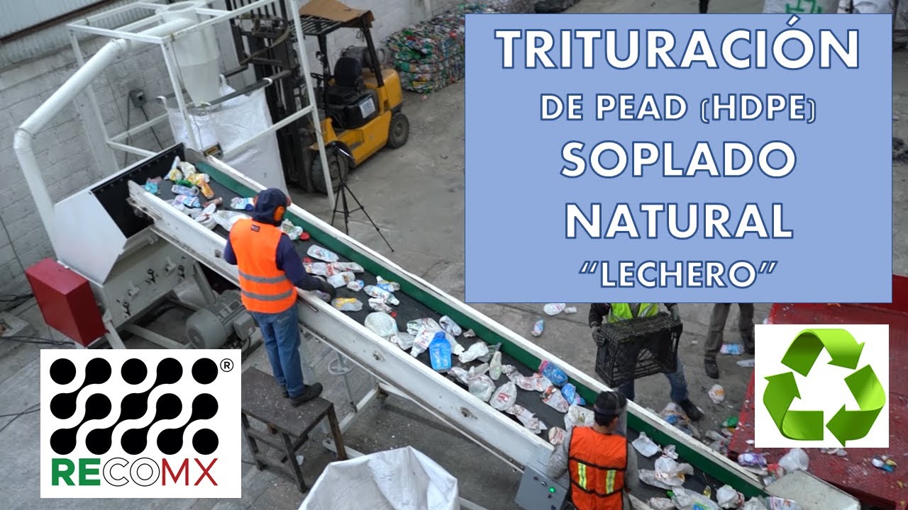 TRITURACIÓN DE PEAD (HDPE) NATURAL "LECHERO" - MOLINO PARA PLÁSTICO