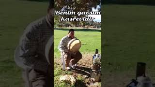 Benim gavsım (k.s) kasrevidir. Resimi