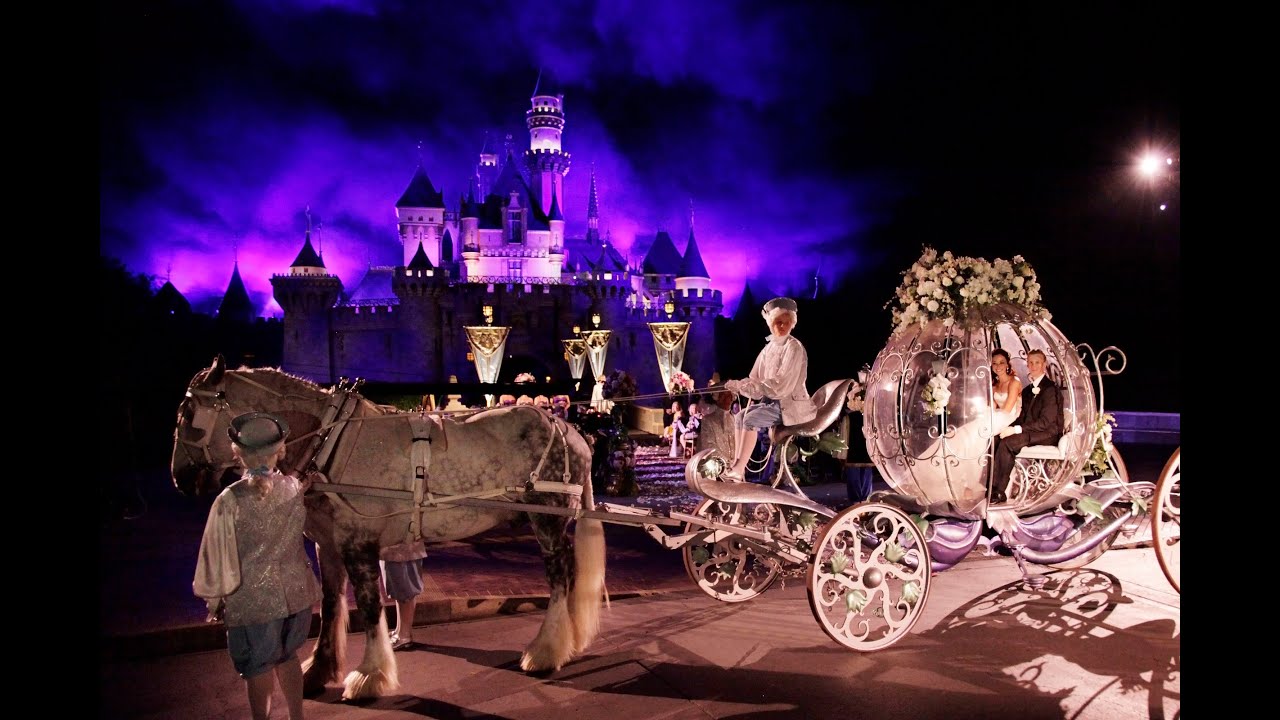 Brettainy & Kyle's Disneyland Wedding Ceremony HD YouTube