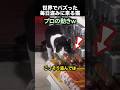 「もう盗まなくていいんだよ」店長と猫の物語！
