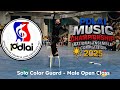 Solo Color Guard - Male | Open Class | PDLAI Music Championship 2025