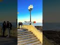 Portugal D1 visa ডকুমেন্ট চাইলে ভিসা হয় কী/না 🇵🇹 #portugal #europe #lisbon #viral #foryou
