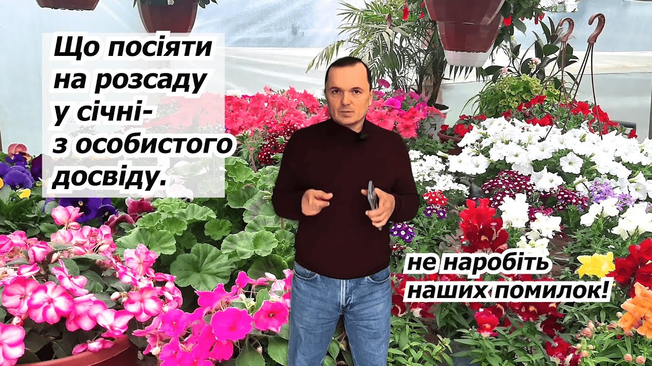 Що вже можна посіяти у січні і в яких випадках сіяти ще нічого не треба.
