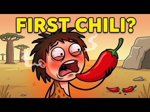 The Strange Evolution of Spicy Food |First chili|