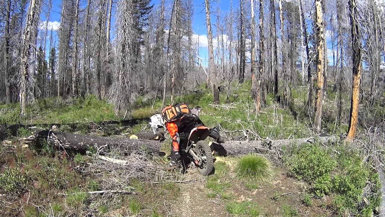 Entering Burn Area Carry Chainsaws YouTube