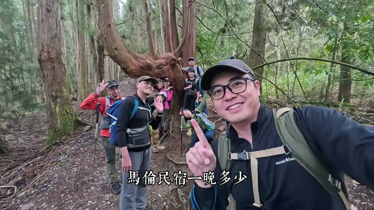 【谷關七雄馬崙山】漫步五星級松針地毯步道，探訪新山國小人文遺跡，登山口最新路線建議！
