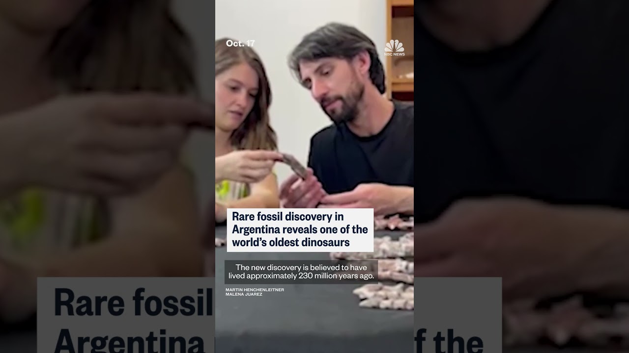230-million-year-old dinosaur fossil found in Argentina 230-million-year-old dinosaur fossil found in Argentina