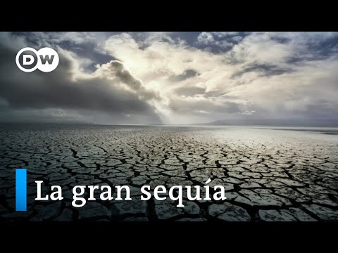 Video: Instalación de arte de naturaleza a gran escala en Colorado: Dominación de sistemas naturales