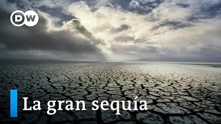 Escasez de agua y embalses vacíos  La gran sequía | DW Documental