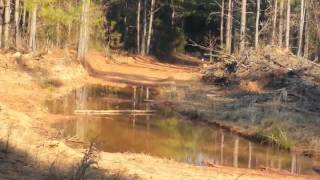 Ar15 vs Water Jug