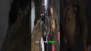 My 9-Year-Olds 515 Am Farm Routine