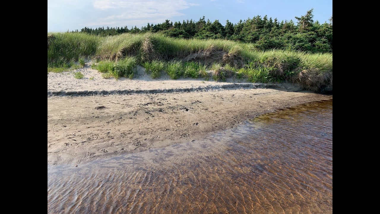 Grounded in awareness