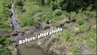 What Happened 1 day after Huge beaver dam removal