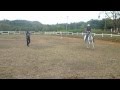 Haras Campello - Curso de Equitação de Trabalho -- 03
