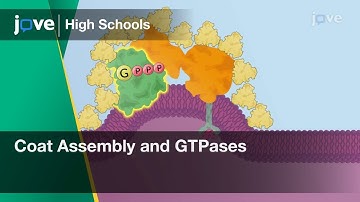 Coat Assembly and GTPases | Cell Bio | Video Textbooks - Preview