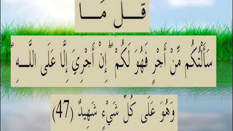 القران الكريم سورة سبأ الأية 47.wmv