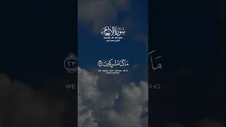 ويوم نحشرهم جميعا ثم نقول للذين أشركوا أين شركاؤكم الذين كنتم تزعمون | الشيخ محمد ايوب