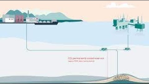 Modeling  Multiphase Flow Behavior of CO2 in Wellbore for CCUS projects