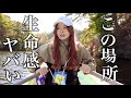 爆釣！この釣り場、生命感ヤバすぎる・・・