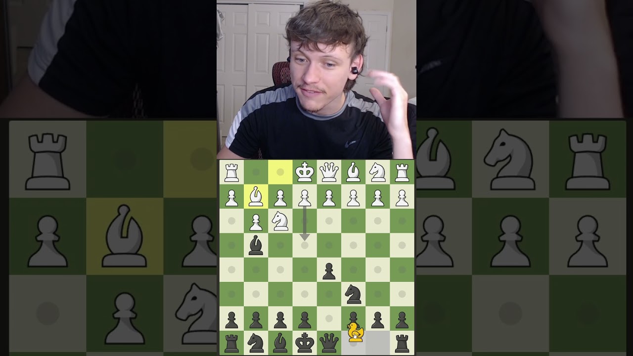Duck Chess is very confusing