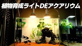 植物育成用LEDライトをアクアリウムで使ってみる　照明交換
