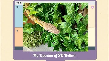 Super Dwarf Reticulated Pythons: One of my Top 5 Snakes!
