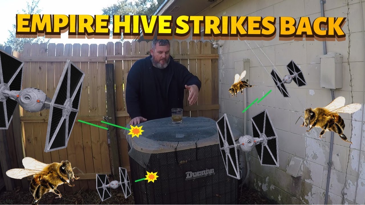 Empire Bee Hive Strikes Back