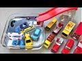 【TOMICA】car jumps from the slide into the water. Learn colors. ambulance.fire engine.patrol car.bus