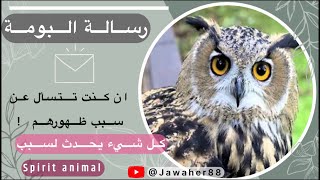 رسائل ظهور البومة في حياتك