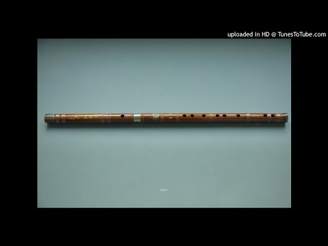 笛子： 練習曲113