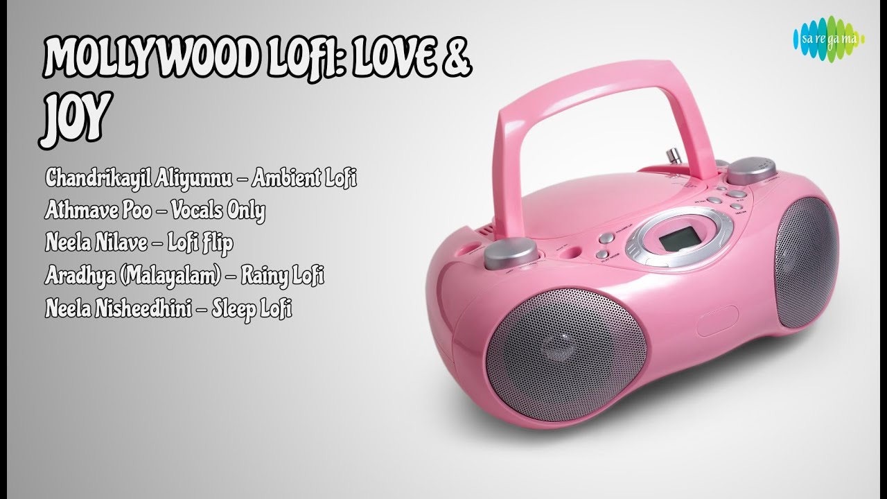 പ്രണയവും സന്തോഷവും | Aelo Songs | Chandrikayil Aliyunnu  Ambient Lofi