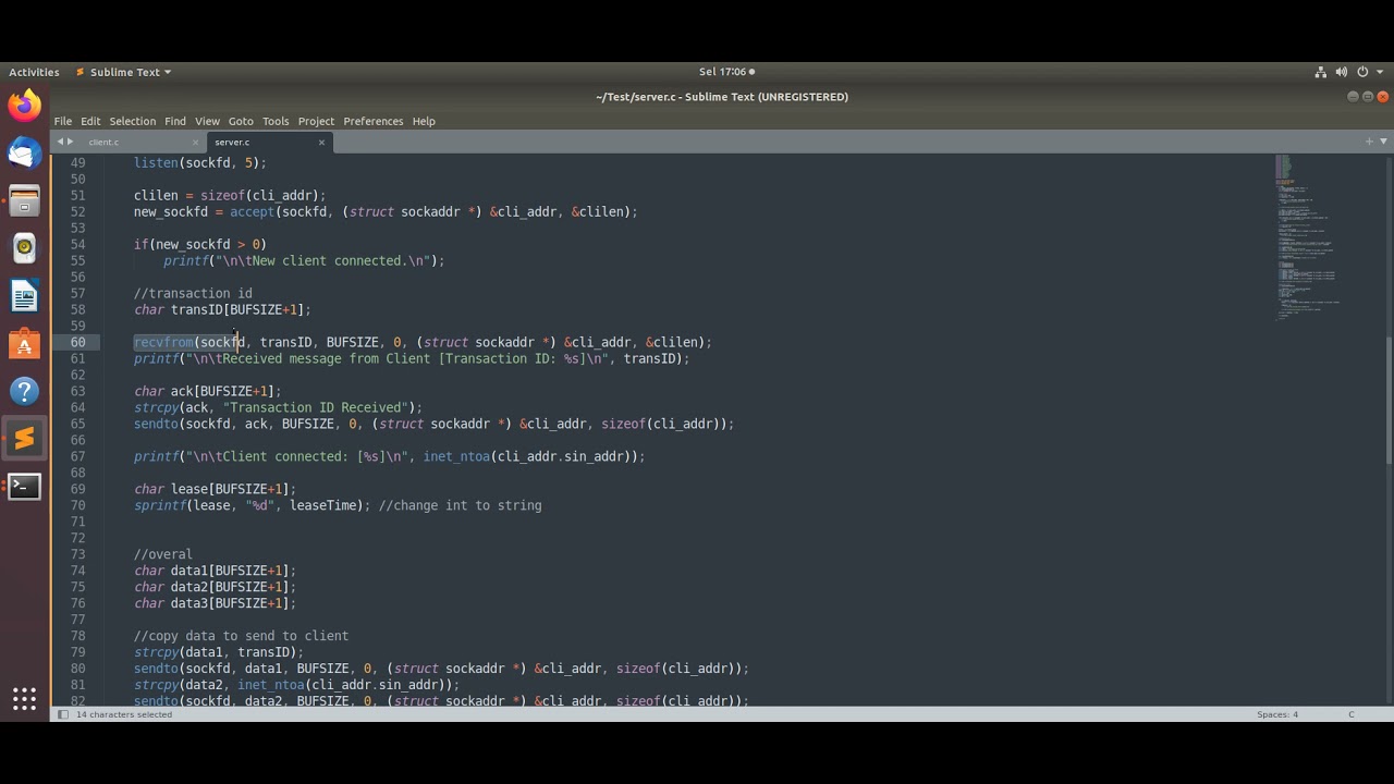 Module Test (UDP Client Server Demo)
