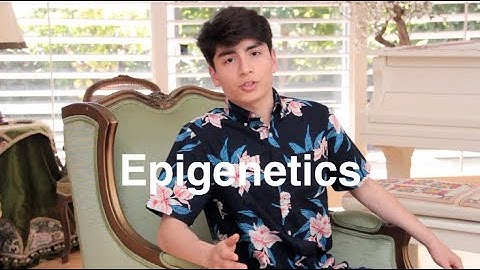 Breakthrough Junior Challenge 2020 | Epigenetics