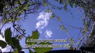 Quad FPV flight into Tree -- Rescued