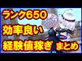 【白猫】ランク上限解放650Lv 8周年版 オススメの周回方法、キャラクター＆装備をまとめました。（初心者さん向け）