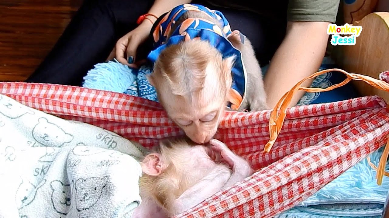 Sweet sister Jessi sharing love to her little brother Paqui