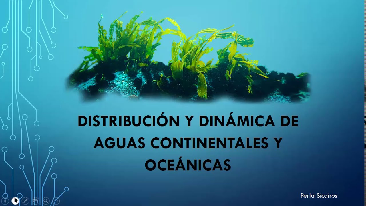 Distribución y dinámica de aguas continentales y oceánicas - YouTube