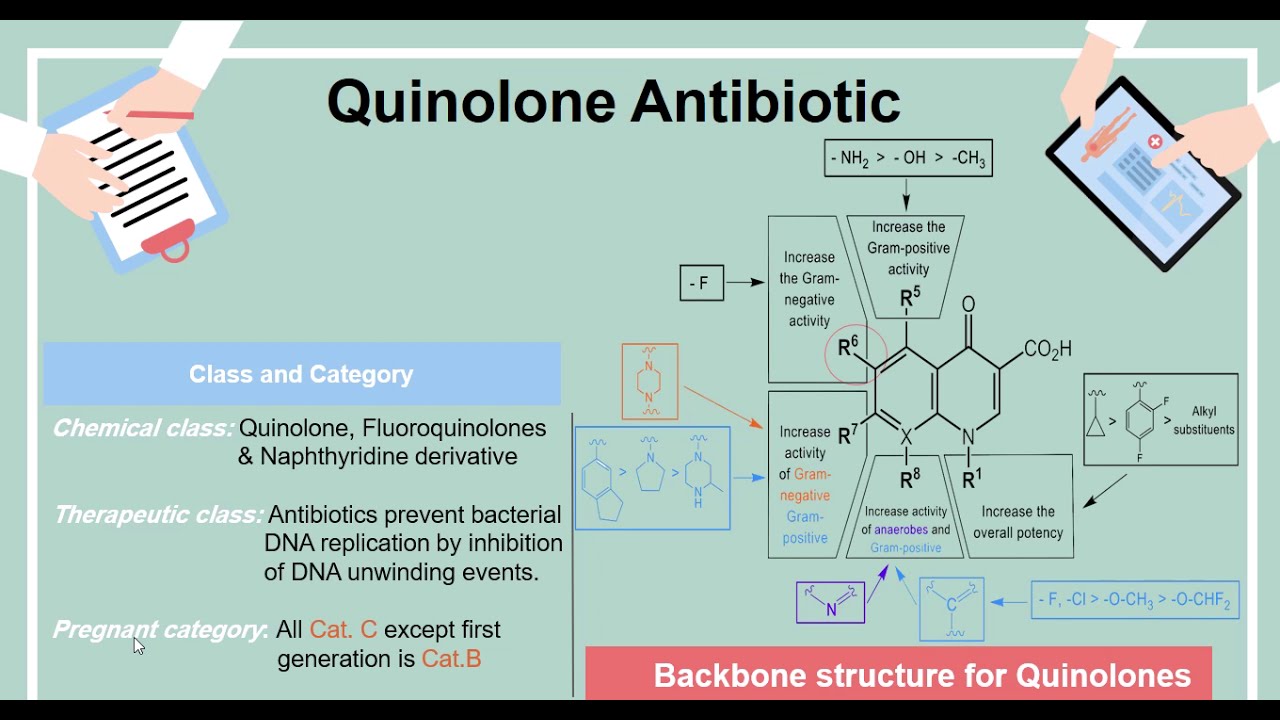 Antibiotics Quinolone antibiotic YouTube