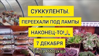 : .    . -!7 .