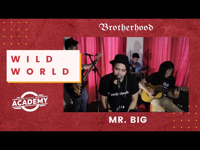 Mr. Big - Wild World - Brotherhood Version class=