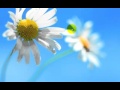 Teach You to Speed up the System of Windows 8