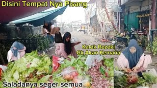Download Lagu MELELES SORE DITEMPAT NYA PISANG BERLIMPAH⁉️ALHAMDULILLAH HR INI BANYAK SALADA MP3 Download Lagu MELELES SORE DITEMPAT NYA PISANG BERLIMPAH⁉️ALHAMDULILLAH HR INI BANYAK SALADA MP3