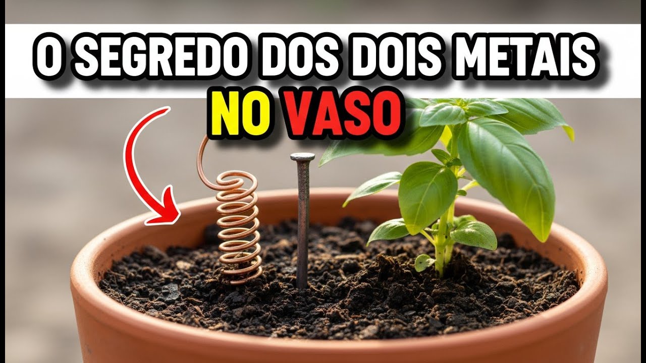 Dois Metais no Vaso: O Experimento Simples Que Acelerou o Crescimento (Sem Química)
